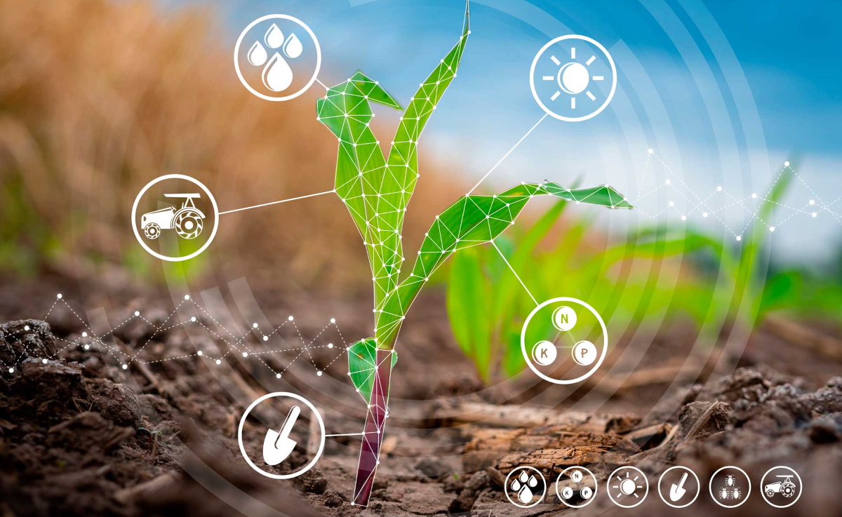 Technology & Innovation — Nexone Group